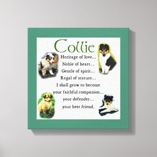 Collie Puppy Heritage of Love Canvas Afdruk (Voorkant)