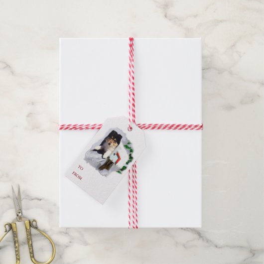 Collie Puppy in de Brievenbus Cadeaulabel (Met Touw)