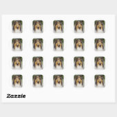 Collie Roiugh AA011D-031 Ronde Sticker (Vel)