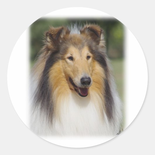 Collie Roiugh AA011D-031 Ronde Sticker (Voorkant)