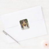 Collie Roiugh AA011D-031 Ronde Sticker (Envelop)