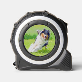 Collie Rolmaat