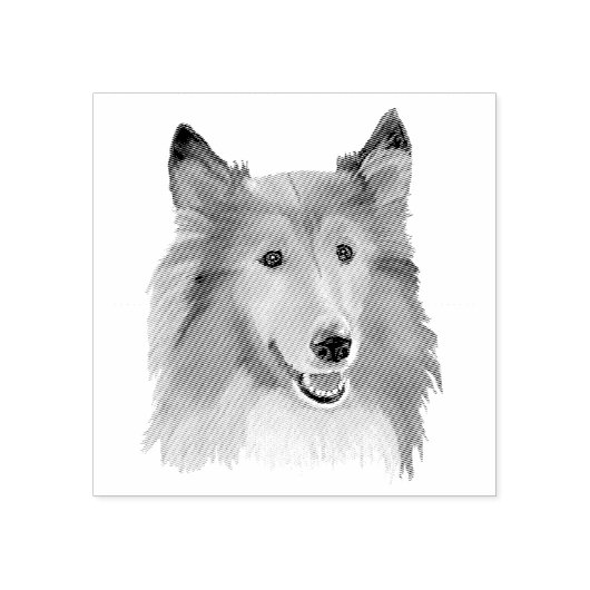 Collie Rubberstempel (Afrduk)