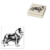 Collie Rubberstempel (Gestempeld)