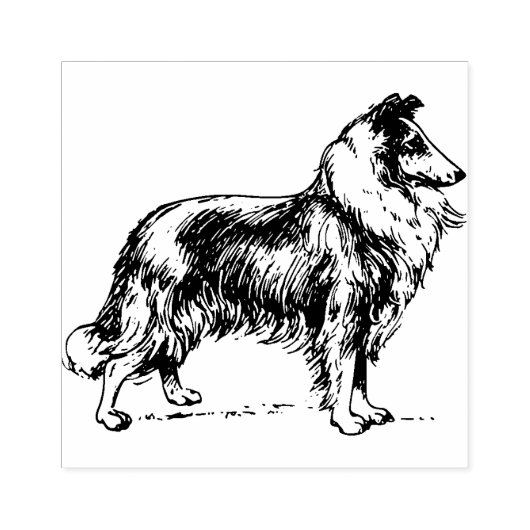 Collie Rubberstempel (Afrduk)