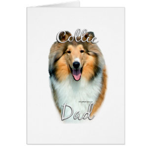 Collie (ruw) Pa 2