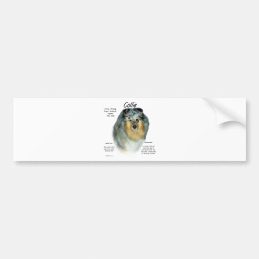 Collie (ruwe merle) Geschiedenis Ontwerp Bumpersticker (Voorkant)