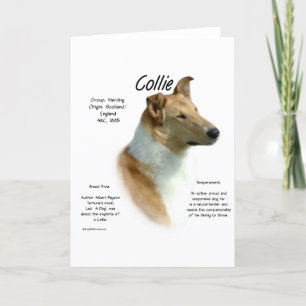 Collie (sable glad) Geschiedenis Ontwerp Feestdagen Kaart