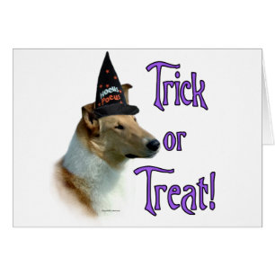 Collie (sable, glad) Trick