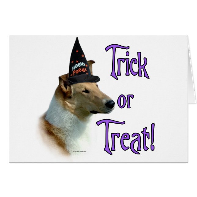 Collie (sable, glad) Trick (Voorkant Horizontaal)