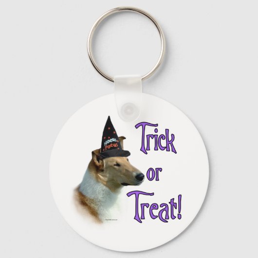 Collie (sable glad) Trick Sleutelhanger (Voorkant)