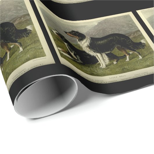  collie schaafhonden cadeaupapier (Rol Hoek)