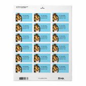 Collie Sheltie Carribean Etiket (Full Sheet)