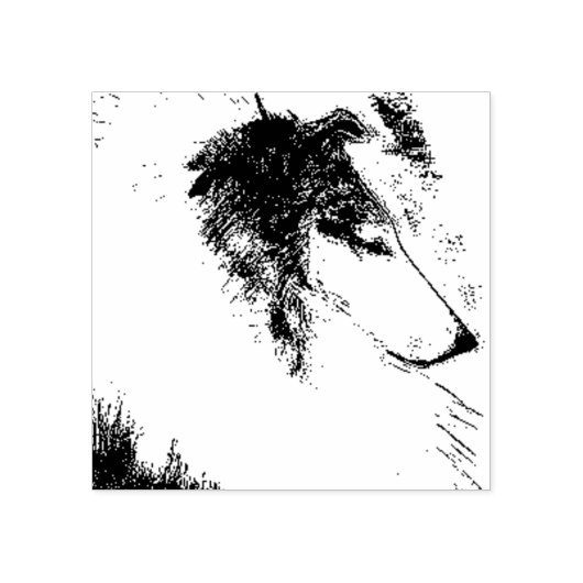 Collie Stamp Rubberstempel (Afrduk)