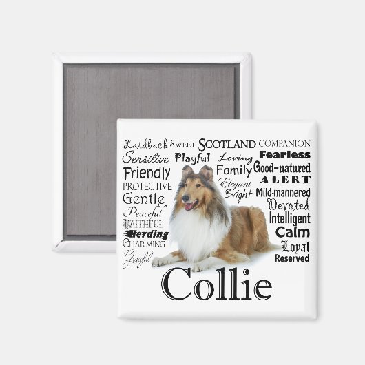 Collie Traits Magnet (Voorkant / Achterkant)