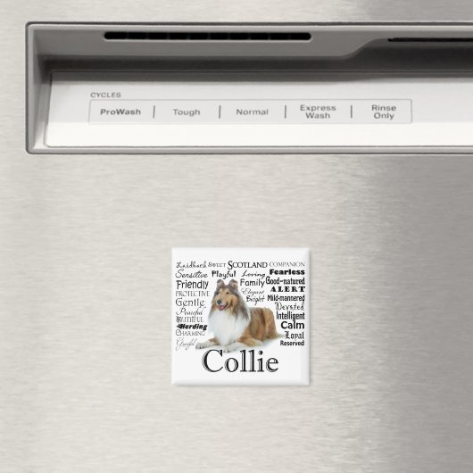 Collie Traits Magnet (Insitu (Vaatwasser))