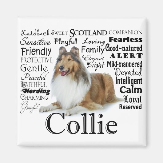 Collie Traits Magnet (Voorkant)