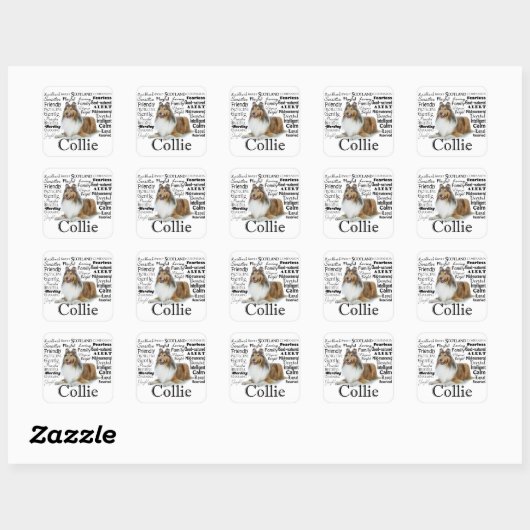 Collie Traits Stickers (Vel)