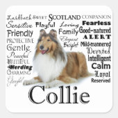 Collie Traits Stickers (Voorkant)
