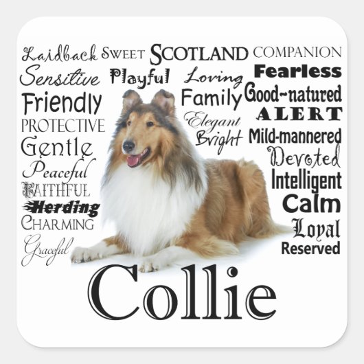 Collie Traits Stickers (Voorkant)