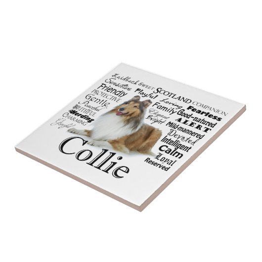 Collie Traits Tile Tegeltje (Zijkant)