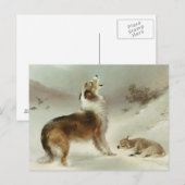 Collie und Schaf Briefkaart (Voorkant / Achterkant)