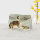 Collie und Schaf Kaart (Gele Bloem)