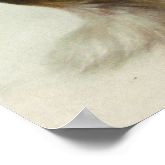 Collie und Schaf Poster (Hoek)