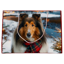 Collie Vakantie  Groot Cadeauzakje
