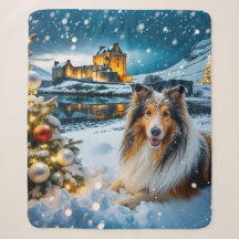Collie Vakantie