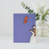 Collie vangt plastic bot briefkaart (Staand voorkant)