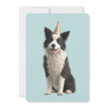 Collie verjaardagsfeestje