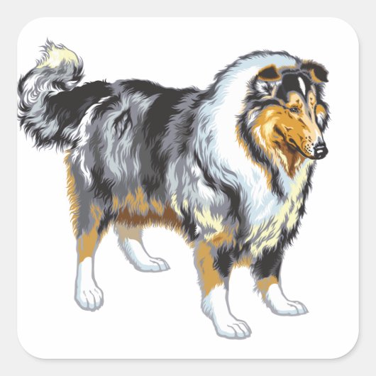 collie vierkante sticker (Voorkant)