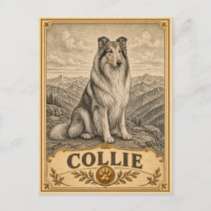 Collie, Vintage Heritage Hond Briefkaart