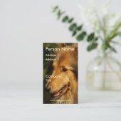 Collie Visitekaartje (Staand voorkant)