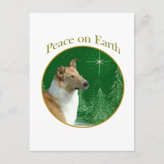 Collie Vrede op aarde Briefkaart (Voorkant)