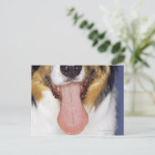 Collie waggong briefkaart (Staand voorkant)