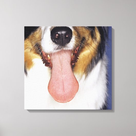 Collie waggong canvas afdruk (Voorkant)
