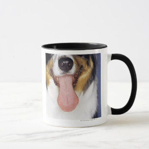 Collie waggong mok