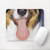 Collie waggong muismat (Met muis)