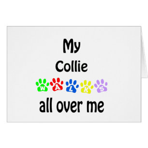 Collie Walks Design