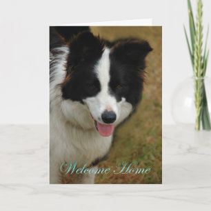 Collie Welkom thuis. Fijn dat je weer thuis bent. Kaart