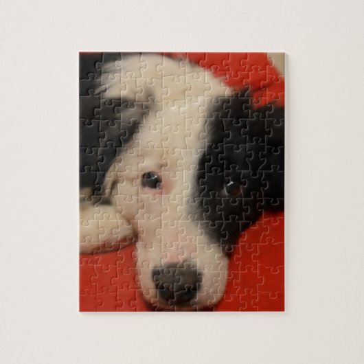 colliehond legpuzzel (Verticaal)