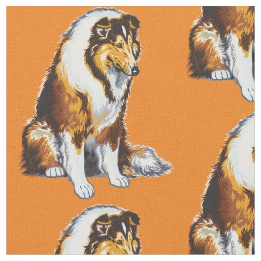 colliehond stof (Close Up)