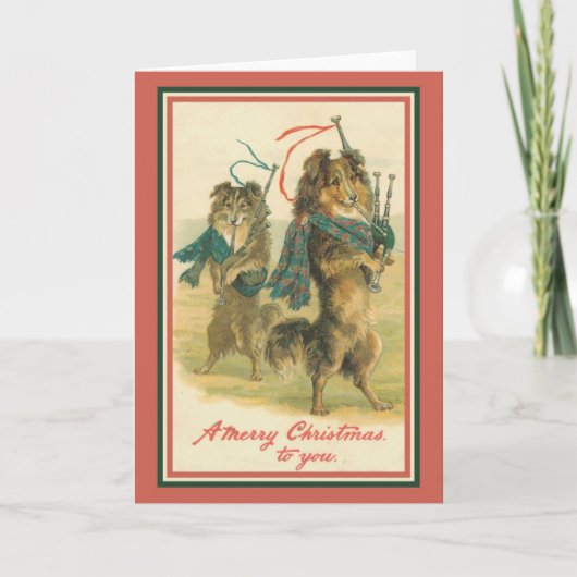 Collies die Bagpipes afspelen Feestdagen Kaart (Voorkant)