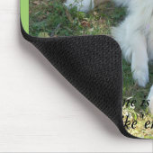 COLLIES - Eén is nooit genoeg...ruw. Muismat (Hoek)