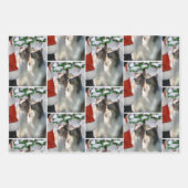 Collies en Kerstman Kerstmis Inpakpapier Vel (Voorkant)