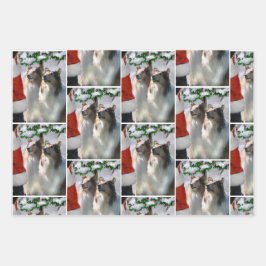 Collies en Kerstman Kerstmis Inpakpapier Vel
