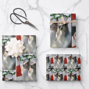 Collies en Kerstman Kerstmis Inpakpapier Vel
