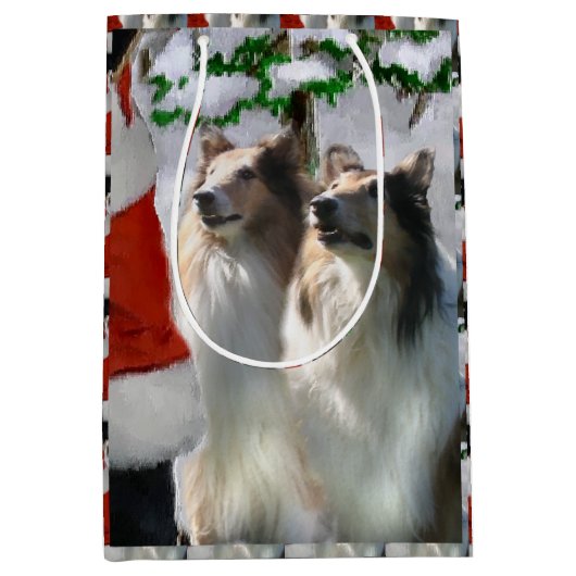 Collies en Kerstman Kerstmis Medium Cadeauzakje (Voorkant)